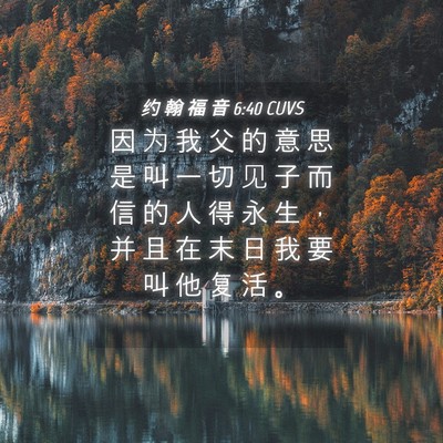 Picture 04 - 约 翰 福 音 6:40 CUVS - 因 为 我 父 的 意 思 是 叫 一 切 见 - Bible Verse Picture