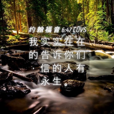 Picture 04 - 约 翰 福 音 6:47 CUVS - 我 实 实 在 在 的 告 诉 你 们 ， 信 - Bible Verse Picture