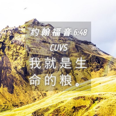 Picture 04 - 约 翰 福 音 6:48 CUVS - 我 就 是 生 命 的 粮 - Bible Verse Picture