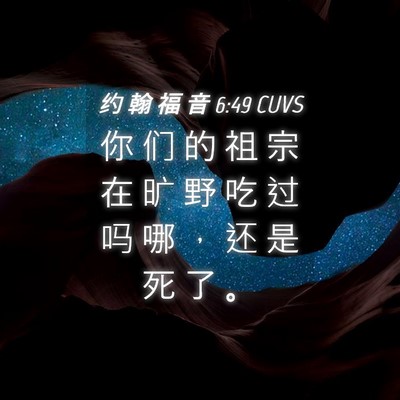 Picture 04 - 约 翰 福 音 6:49 CUVS - 你 们 的 祖 宗 在 旷 野 吃 过 吗 哪 - Bible Verse Picture