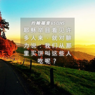 Picture 04 - 约 翰 福 音 6:5 CUVS - 耶 稣 举 目 看 见 许 多 人 来 ， 就 - Bible Verse Picture