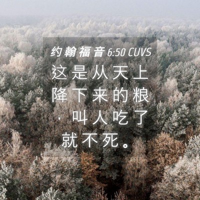 Picture 04 - 约 翰 福 音 6:50 CUVS - 这 是 从 天 上 降 下 来 的 粮 ， 叫 - Bible Verse Picture