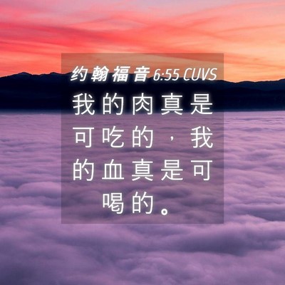 Picture 04 - 约 翰 福 音 6:55 CUVS - 我 的 肉 真 是 可 吃 的 ， 我 的 血 - Bible Verse Picture