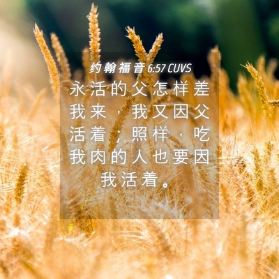 Picture 04 - 约 翰 福 音 6:57 CUVS - 永 活 的 父 怎 样 差 我 来 ， 我 又 - Bible Verse Picture