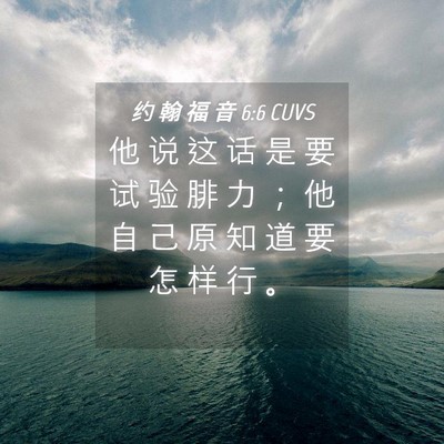 Picture 04 - 约 翰 福 音 6:6 CUVS - 他 说 这 话 是 要 试 验 腓 力 ； 他 - Bible Verse Picture