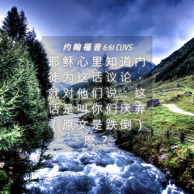 Picture 04 - 约 翰 福 音 6:61 CUVS - 耶 稣 心 里 知 道 门 徒 为 这 话 议 - Bible Verse Picture