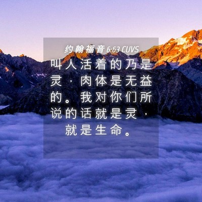 Picture 04 - 约 翰 福 音 6:63 CUVS - 叫 人 活 着 的 乃 是 灵 ， 肉 体 是 - Bible Verse Picture