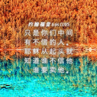 Picture 04 - 约 翰 福 音 6:64 CUVS - 只 是 你 们 中 间 有 不 信 的 人 。 - Bible Verse Picture