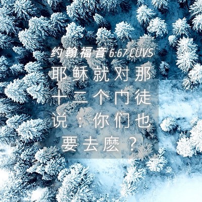 Picture 04 - 约 翰 福 音 6:67 CUVS - 耶 稣 就 对 那 十 二 个 门 徒 说 ： - Bible Verse Picture