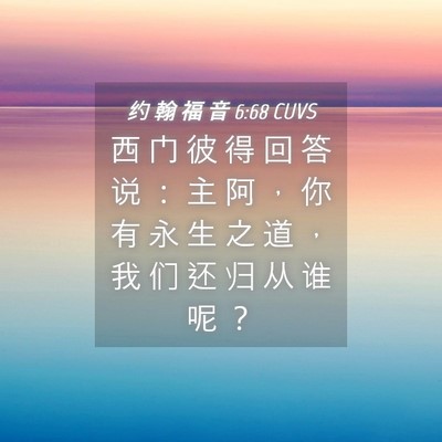 Picture 04 - 约 翰 福 音 6:68 CUVS - 西 门 彼 得 回 答 说 ： 主 阿 ， 你 - Bible Verse Picture