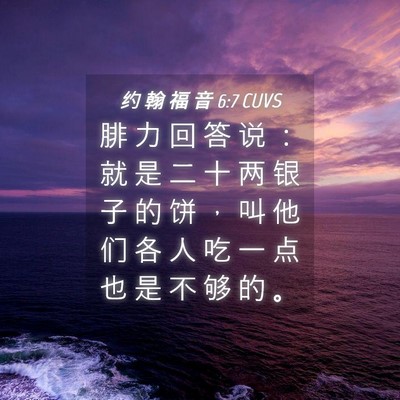 Picture 04 - 约 翰 福 音 6:7 CUVS - 腓 力 回 答 说 ： 就 是 二 十 两 银 - Bible Verse Picture