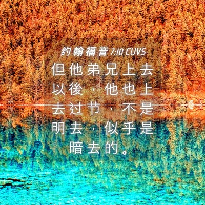 Picture 04 - 约 翰 福 音 7:10 CUVS - 但 他 弟 兄 上 去 以 後 ， 他 也 上 - Bible Verse Picture