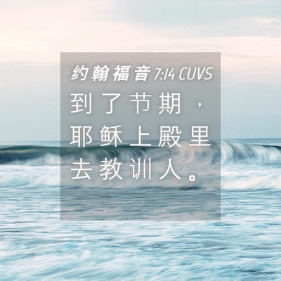 Picture 04 - 约 翰 福 音 7:14 CUVS - 到 了 节 期 ， 耶 稣 上 殿 里 去 教 - Bible Verse Picture