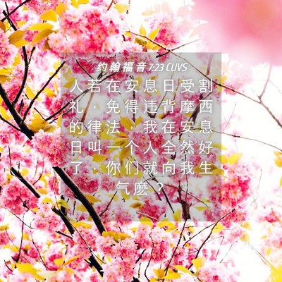 Picture 04 - 约 翰 福 音 7:23 CUVS - 人 若 在 安 息 日 受 割 礼 ， 免 得 - Bible Verse Picture