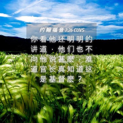 Picture 04 - 约 翰 福 音 7:26 CUVS - 你 看 他 还 明 明 的 讲 道 ， 他 们 - Bible Verse Picture