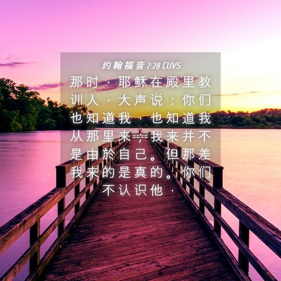 Picture 04 - 约 翰 福 音 7:28 CUVS - 那 时 ， 耶 稣 在 殿 里 教 训 人 ， - Bible Verse Picture