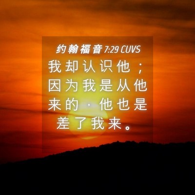 Picture 04 - 约 翰 福 音 7:29 CUVS - 我 却 认 识 他 ； 因 为 我 是 从 他 - Bible Verse Picture