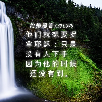 Picture 04 - 约 翰 福 音 7:30 CUVS - 他 们 就 想 要 捉 拿 耶 稣 ； 只 是 - Bible Verse Picture