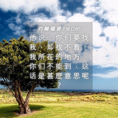 Picture 04 - 约 翰 福 音 7:36 CUVS - 他 说 ： 你 们 要 找 我 ， 却 找 不 - Bible Verse Picture