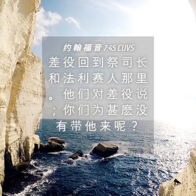 Picture 04 - 约 翰 福 音 7:45 CUVS - 差 役 回 到 祭 司 长 和 法 利 赛 人 - Bible Verse Picture