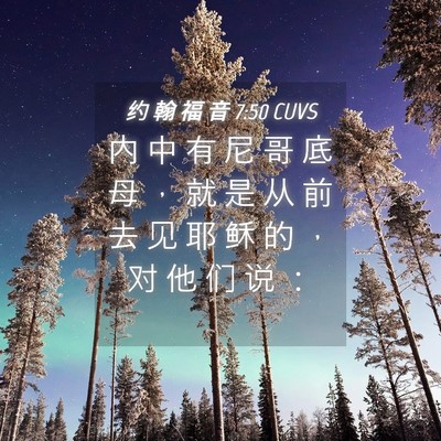 Picture 04 - 约 翰 福 音 7:50 CUVS - 内 中 有 尼 哥 底 母 ， 就 是 从 前 - Bible Verse Picture