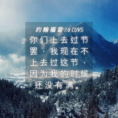 Picture 04 - 约 翰 福 音 7:8 CUVS - 你 们 上 去 过 节 罢 ， 我 现 在 不 - Bible Verse Picture