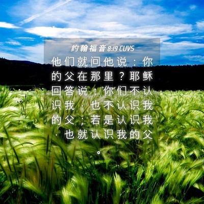 Picture 04 - 约 翰 福 音 8:19 CUVS - 他 们 就 问 他 说 ： 你 的 父 在 那 - Bible Verse Picture