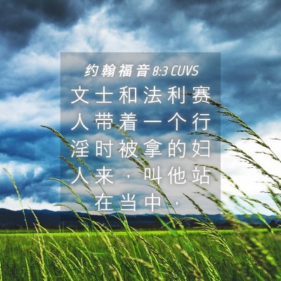Picture 04 - 约 翰 福 音 8:3 CUVS - 文 士 和 法 利 赛 人 带 着 一 个 行 - Bible Verse Picture