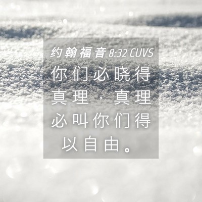 Picture 04 - 约 翰 福 音 8:32 CUVS - 你 们 必 晓 得 真 理 ， 真 理 必 叫 - Bible Verse Picture
