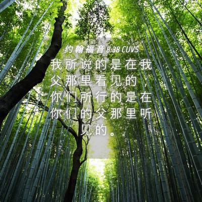 Picture 04 - 约 翰 福 音 8:38 CUVS - 我 所 说 的 是 在 我 父 那 里 看 见 - Bible Verse Picture
