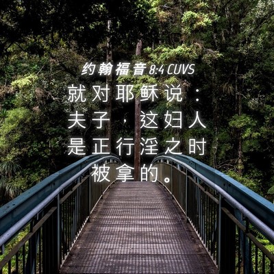 Picture 04 - 约 翰 福 音 8:4 CUVS - 就 对 耶 稣 说 ： 夫 子 ， 这 妇 人 - Bible Verse Picture