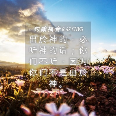 Picture 04 - 约 翰 福 音 8:47 CUVS - 出 於 神 的 ， 必 听 神 的 话 ； 你 - Bible Verse Picture