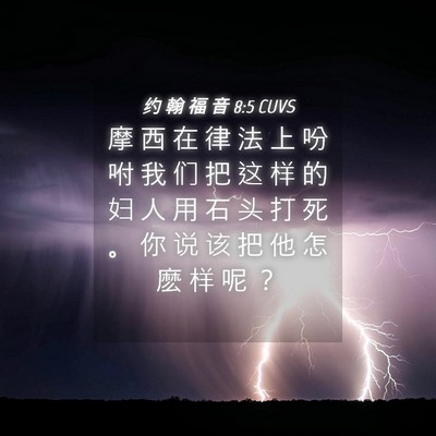 Picture 04 - 约 翰 福 音 8:5 CUVS - 摩 西 在 律 法 上 吩 咐 我 们 把 这 - Bible Verse Picture