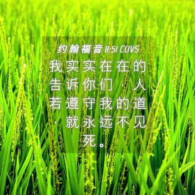 Picture 04 - 约 翰 福 音 8:51 CUVS - 我 实 实 在 在 的 告 诉 你 们 ， 人 - Bible Verse Picture