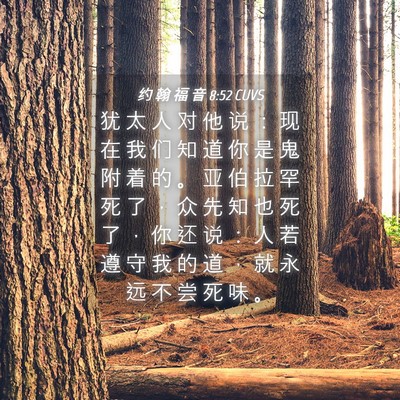 Picture 04 - 约 翰 福 音 8:52 CUVS - 犹 太 人 对 他 说 ： 现 在 我 们 知 - Bible Verse Picture
