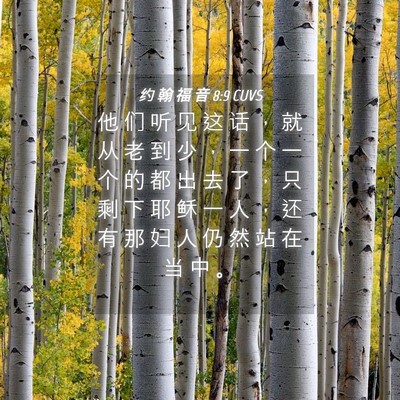 Picture 04 - 约 翰 福 音 8:9 CUVS - 他 们 听 见 这 话 ， 就 从 老 到 少 - Bible Verse Picture