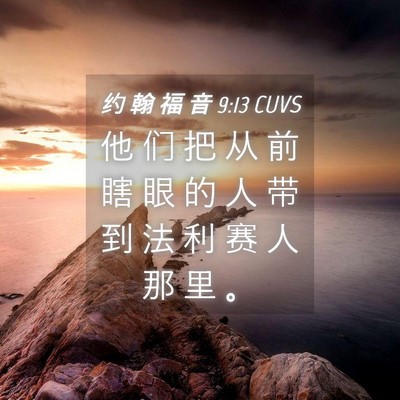 Picture 04 - 约 翰 福 音 9:13 CUVS - 他 们 把 从 前 瞎 眼 的 人 带 到 法 - Bible Verse Picture