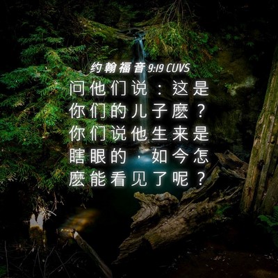 Picture 04 - 约 翰 福 音 9:19 CUVS - 问 他 们 说 ： 这 是 你 们 的 儿 子 - Bible Verse Picture
