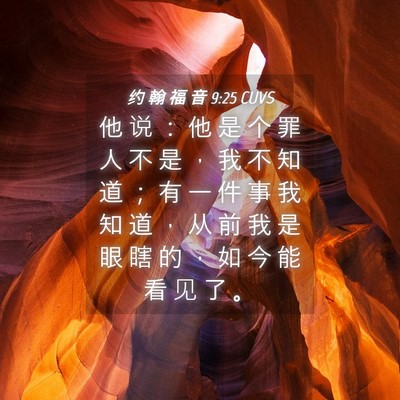 Picture 04 - 约 翰 福 音 9:25 CUVS - 他 说 ： 他 是 个 罪 人 不 是 ， 我 - Bible Verse Picture