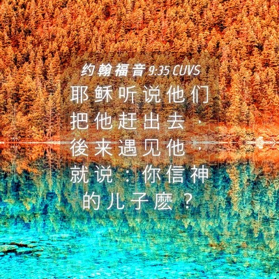 Picture 04 - 约 翰 福 音 9:35 CUVS - 耶 稣 听 说 他 们 把 他 赶 出 去 ， - Bible Verse Picture