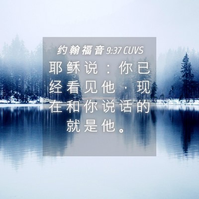 Picture 04 - 约 翰 福 音 9:37 CUVS - 耶 稣 说 ： 你 已 经 看 见 他 ， 现 - Bible Verse Picture