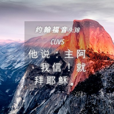 Picture 04 - 约 翰 福 音 9:38 CUVS - 他 说 ： 主 阿 ， 我 信 ！ 就 拜 耶 - Bible Verse Picture