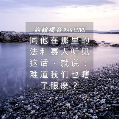 Picture 04 - 约 翰 福 音 9:40 CUVS - 同 他 在 那 里 的 法 利 赛 人 听 见 - Bible Verse Picture