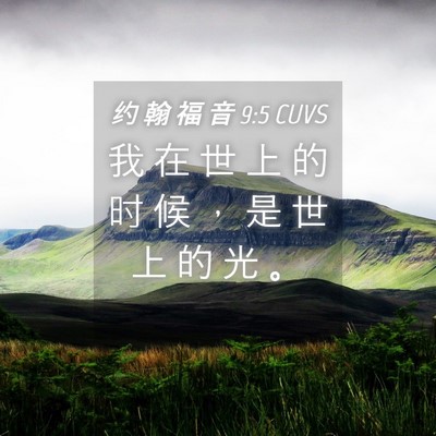 Picture 04 - 约 翰 福 音 9:5 CUVS - 我 在 世 上 的 时 候 ， 是 世 上 的 - Bible Verse Picture