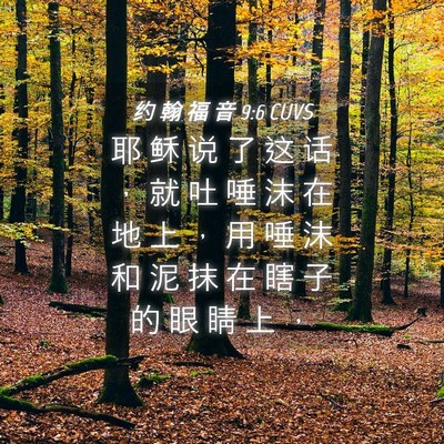 Picture 04 - 约 翰 福 音 9:6 CUVS - 耶 稣 说 了 这 话 ， 就 吐 唾 沫 在 - Bible Verse Picture