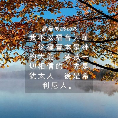 Picture 04 - 罗 马 书 1:16 CUVS - 我 不 以 福 音 为 耻 ； 这 福 音 本 - Bible Verse Picture