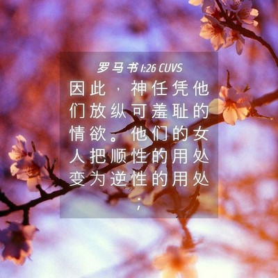 Picture 04 - 罗 马 书 1:26 CUVS - 因 此 ， 神 任 凭 他 们 放 纵 可 羞 - Bible Verse Picture