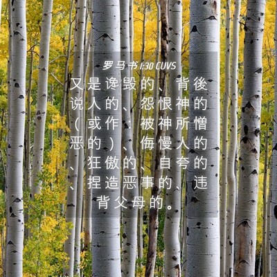 Picture 04 - 罗 马 书 1:30 CUVS - 又 是 谗 毁 的 、 背 後 说 人 的 、 - Bible Verse Picture