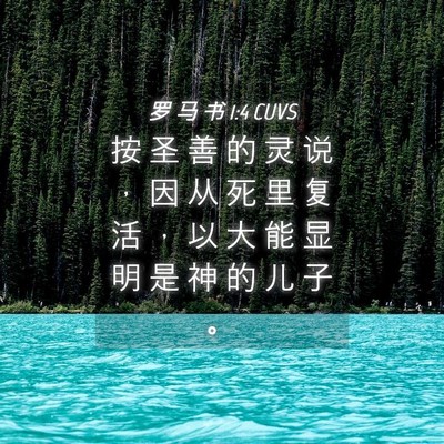 Picture 04 - 罗 马 书 1:4 CUVS - 按 圣 善 的 灵 说 ， 因 从 死 里 复 - Bible Verse Picture