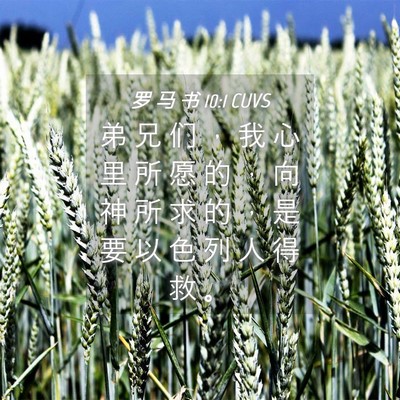 Picture 04 - 罗 马 书 10:1 CUVS - 弟 兄 们 ， 我 心 里 所 愿 的 ， 向 - Bible Verse Picture